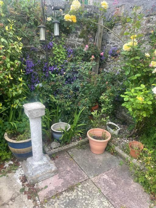 Ivybridge Cottage Luaran gambar